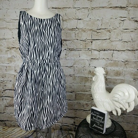 Zara Dresses & Skirts - Trafaluc Zara Zebra Bubble Hem Dress XL Pockets